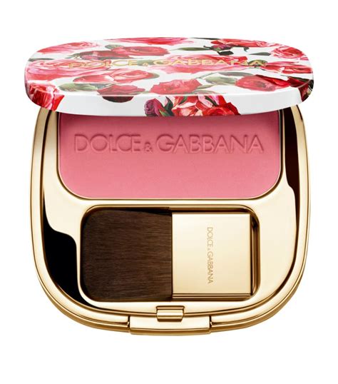 dolce & gabbana blush of roses cheek powder|what is dolce and gabbana.